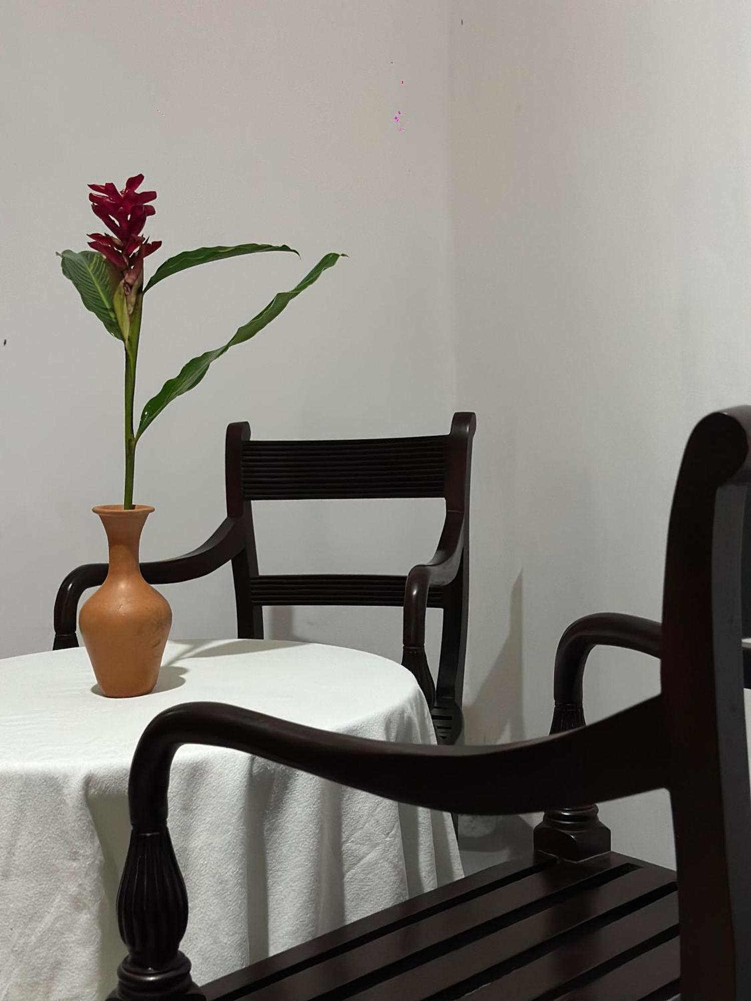 Casa Del Ceylon Apartment Hikkaduwa Ngoại thất bức ảnh