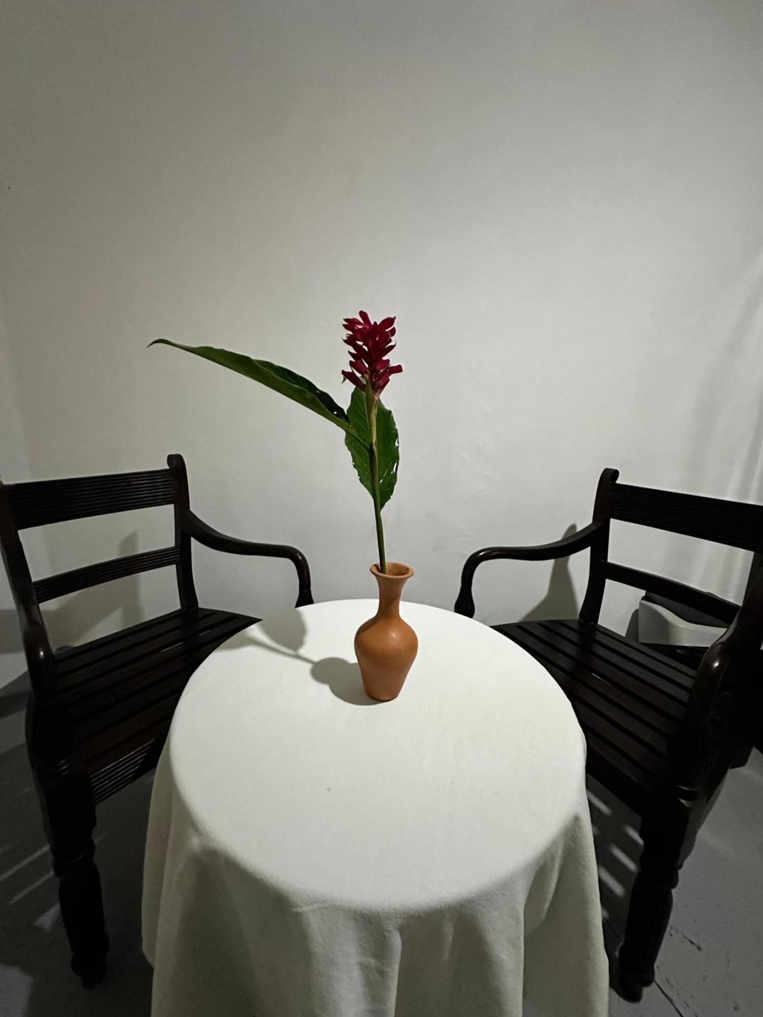 Casa Del Ceylon Apartment Hikkaduwa Ngoại thất bức ảnh